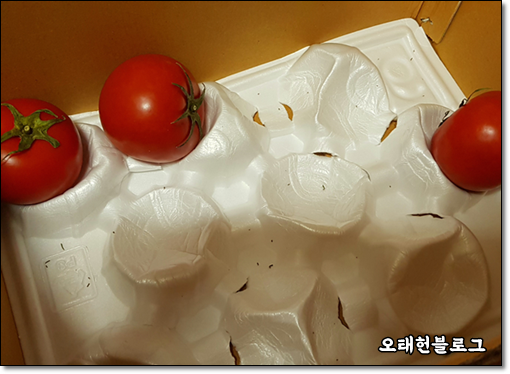  여드름에 좋은 음식 토마토, 2주간 매일 1개씩 먹기