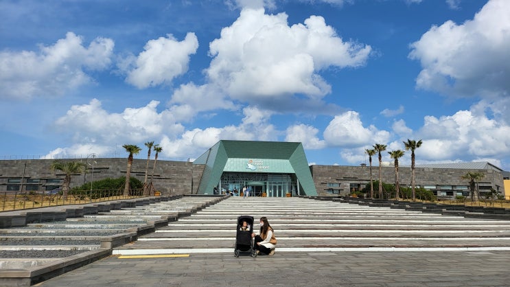  제주도 아이랑 가볼만한곳 아쿠아플라넷 제주 할인 / 내부 파헤치기