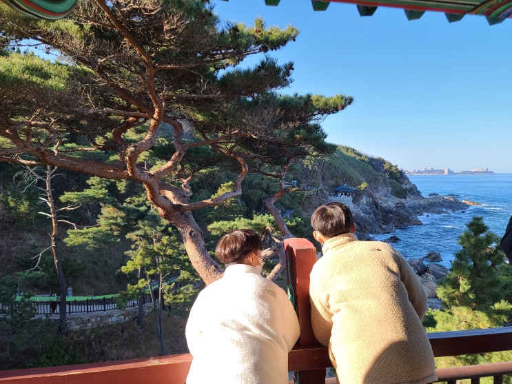  강원도 속초여행 양양 낙산사 의상대 해수관음상 낙산해수욕장 (주차장 팁)