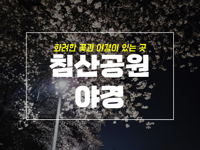  대구 침산공원 침산정 야경과 벚꽃 계단