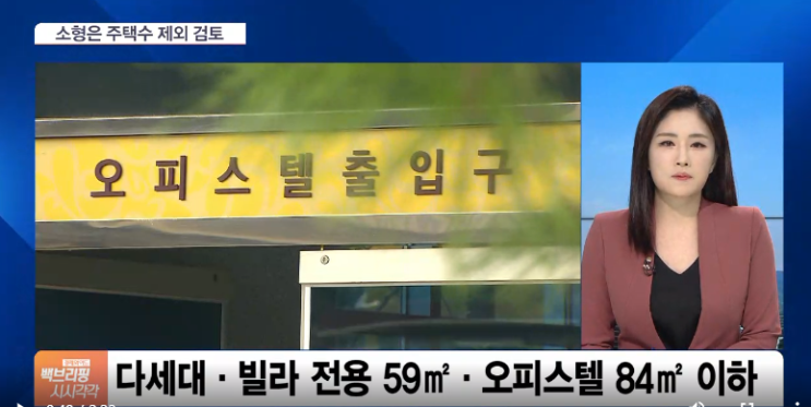 다세대주택 소형빌라 주거용 오피스텔 주택수 제외 검토