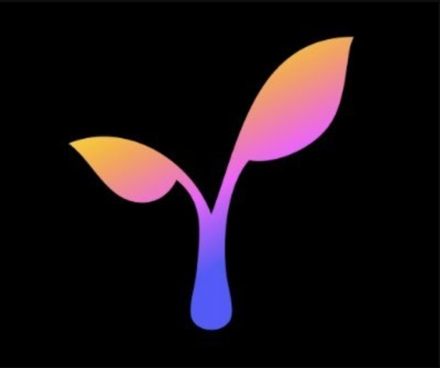  업비트 BTC 마켓 디지털 자산 추가 RAD