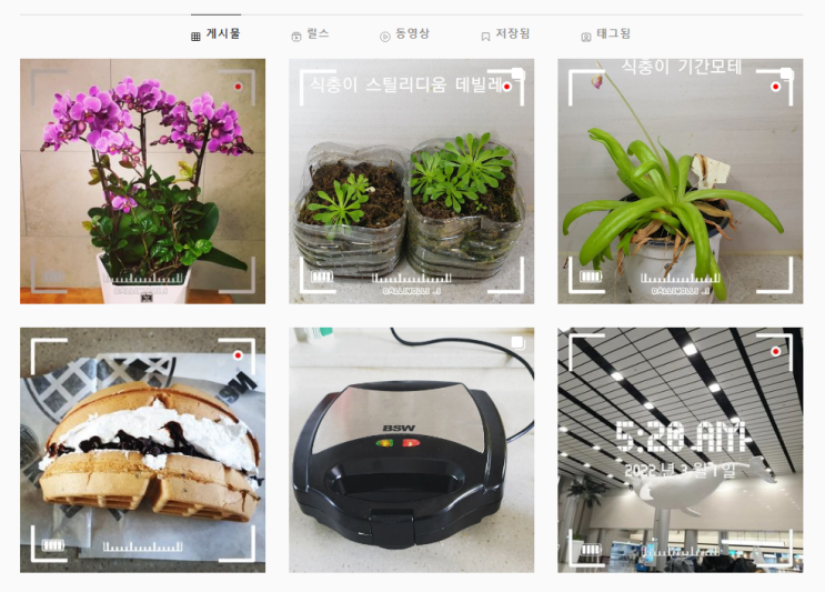  인스타감성사진 찍는 팁  감성필터부터 스마트폰으로 잘 찍는 법까지