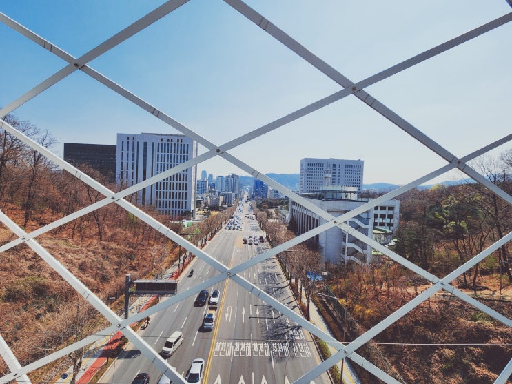  [산행] 우면산~서리풀길 (토끼보러)