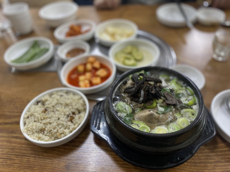  문래동 보양식 맛집 능이버섯백숙 - feat. 몸보신 필요할 때
