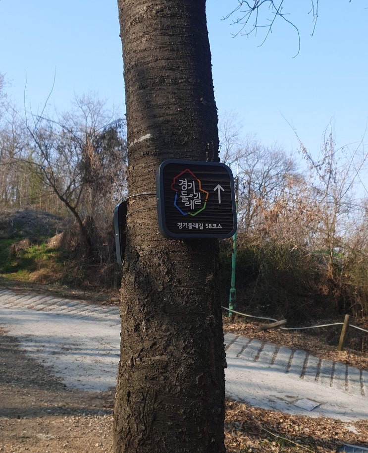  경기 둘레길 김포 58코스 : 5살 아이와 산책하기 좋은 곳, 다사다난한 하루