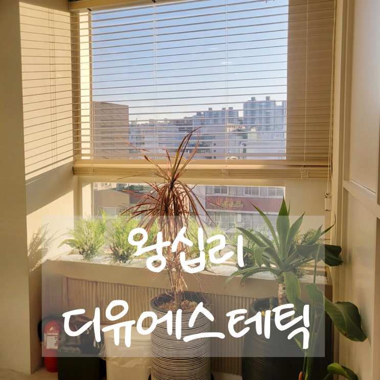  [서울 성동구]왕십리 피부관리후기_디유에스테틱(구)헤세더에스테틱