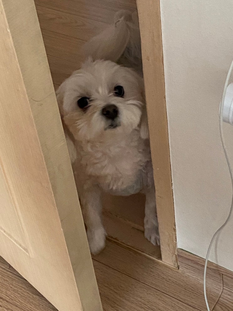  월말결산22.03月 : 기록하기로했습니다