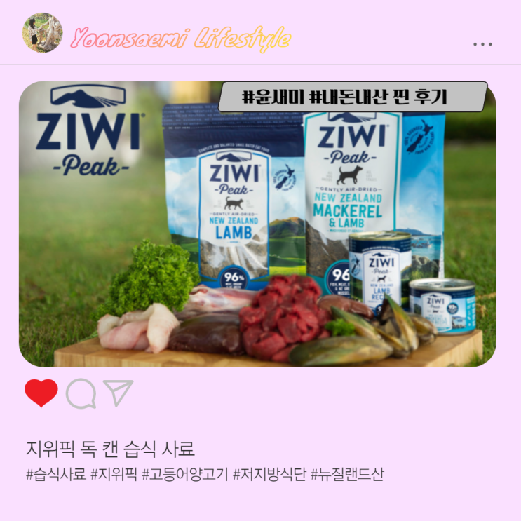  습식 사료 ; 지위픽 독 캔(양고기&고등어)