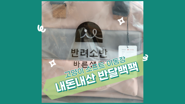 고양이 소프트 이동장 반려소반 반달 백팩 메고 첫째 차차 병원 다녀왔어요!