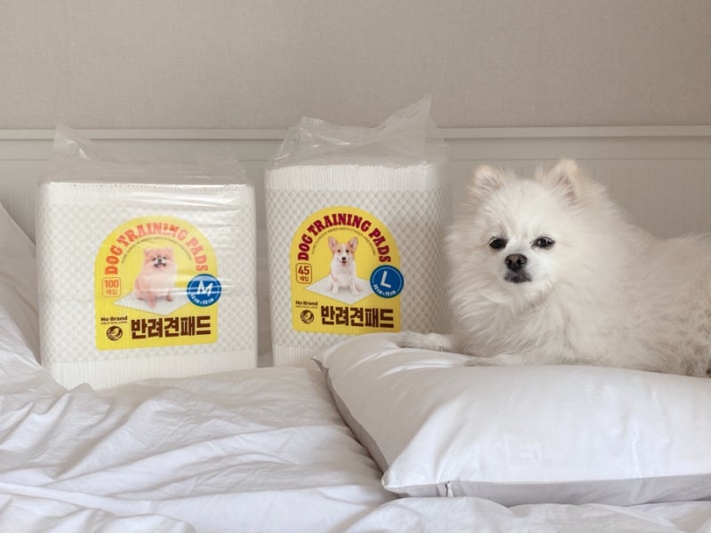 얇은배변패드 노브랜드 반려견패드 중,대 써본것중에 제일 얇아요