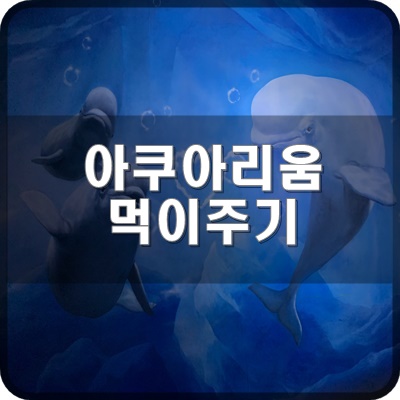 롯데월드 아쿠아리움 먹이주기 및 생태설명회 시간 확인