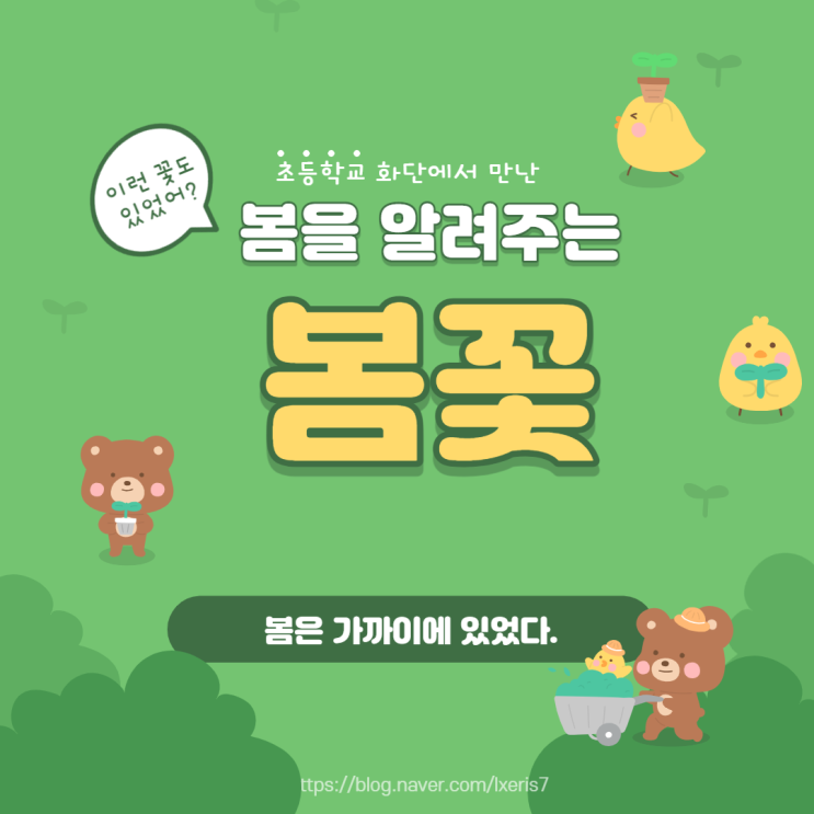  봄꽃2- 진달래 산수유 살구꽃 목련