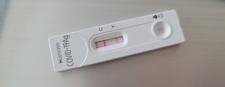  [27주 임산부 코로나 확진]코로나자가키트,코로나 확진 임산부 약,꿀무즙만들기,코로나 증상