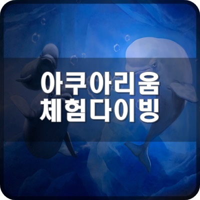  롯데월드 아쿠아리움 체험다이빙 프로그램 카카오톡 채널에서 예약이 가능할까?