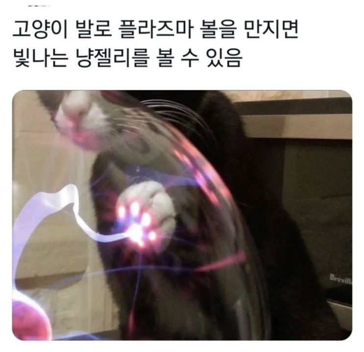  내가 좋아하는 것들