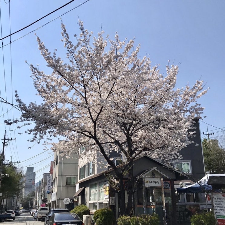 아주 오래간만에 아들과 함께 목욕탕 / 슬쌍디아빠