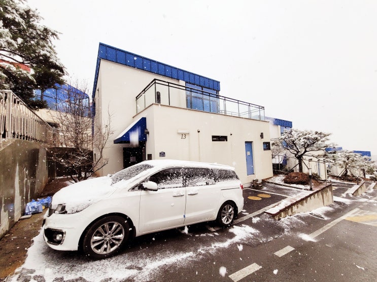  [파주 오블라디풀빌라펜션] 파주여행 서울근교 애견독채풀빌라펜션 가족과 함께 다녀왔습니다.
