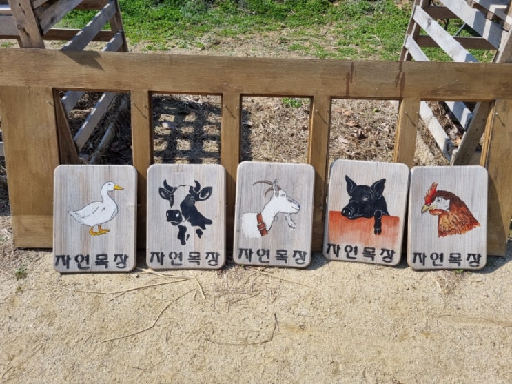  음성/체험/자연목장(주차 tip)