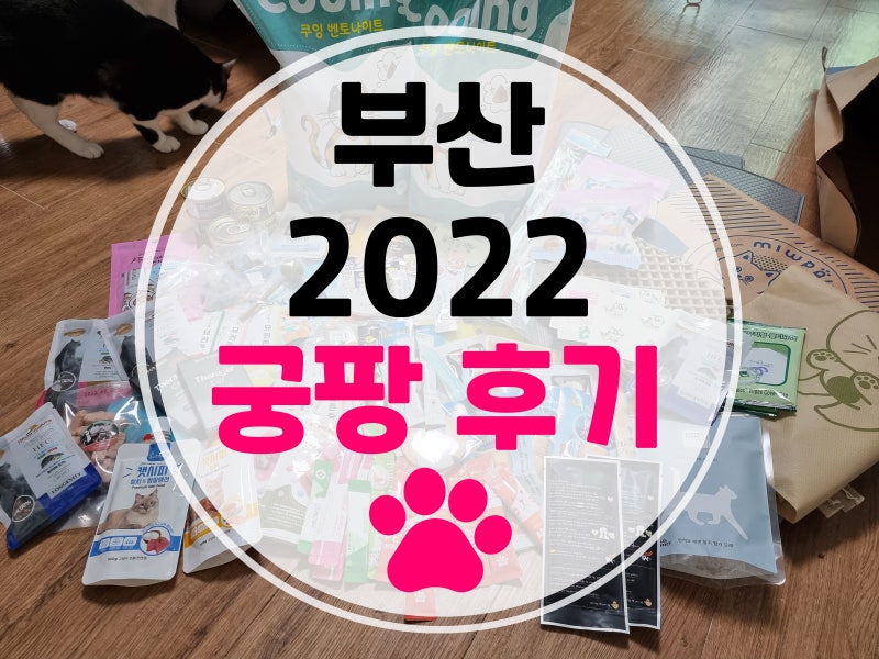 부산 벡스코 궁디팡팡 캣페스타 후기