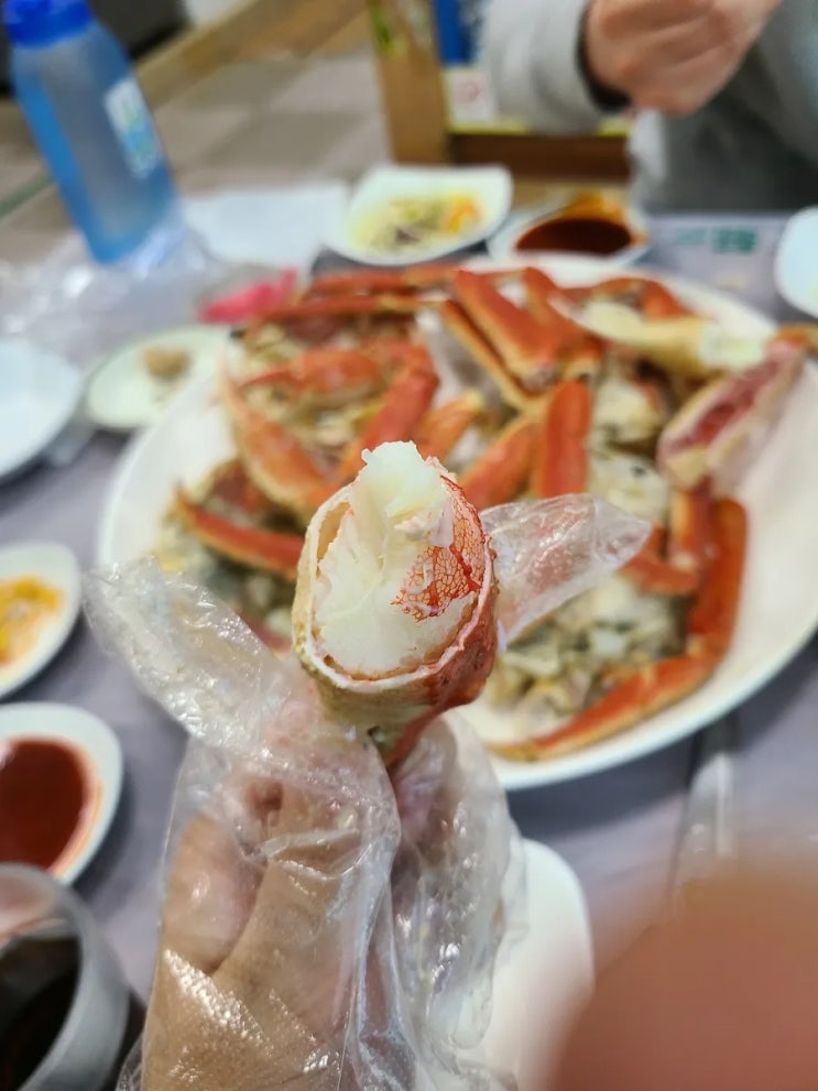  [부산맛집/자갈치시장] 대게 먹으려면 지금이 딱 ! 뱃사공수산& 돼지횟집
