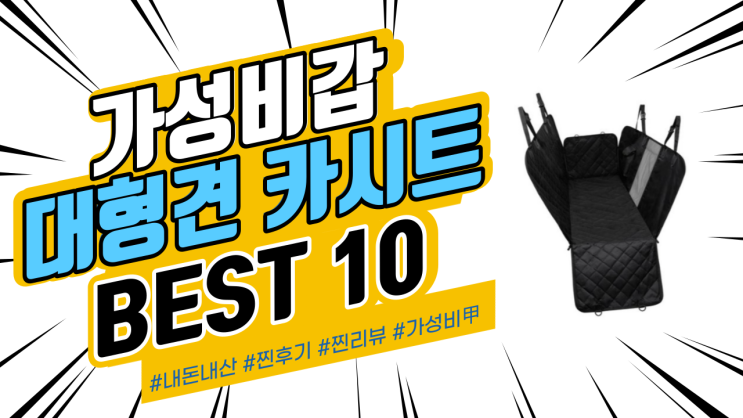 지인들에게도 추천드리는 대형견 카시트 BEST