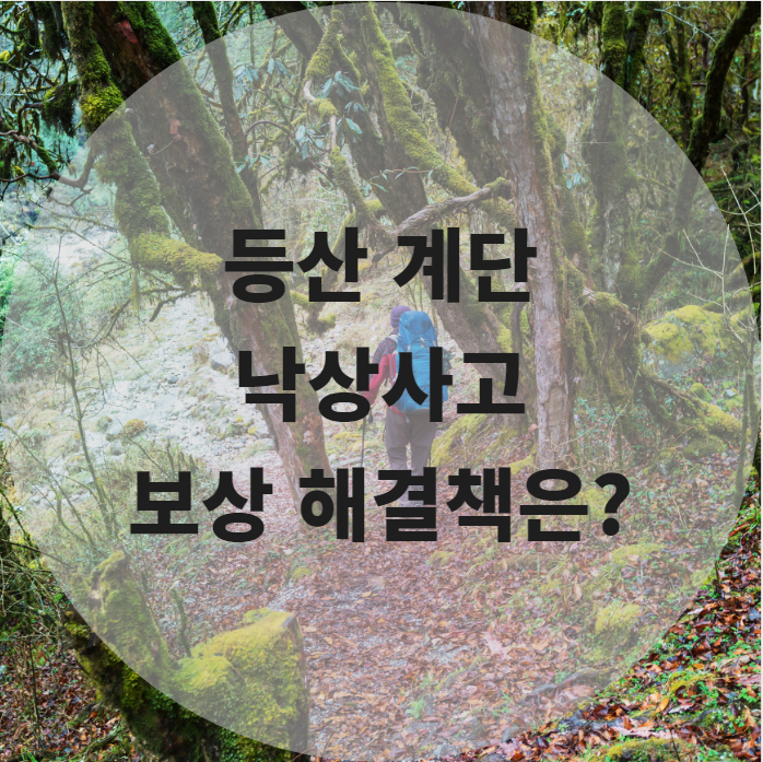 등산 중 파손된 계단으로  낙상사고 당하였다면 보상문제는?
