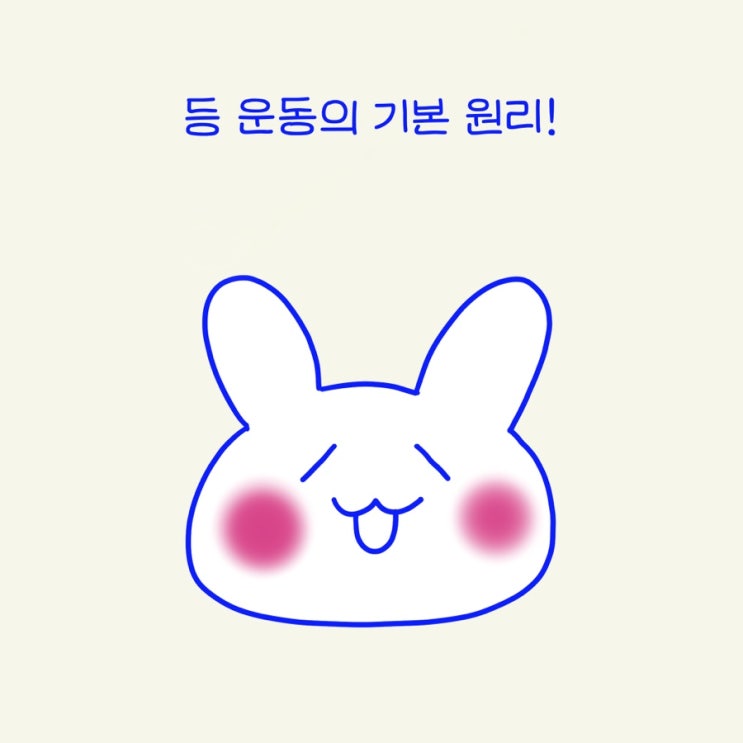  등운동 광배근 어떻게 사용할까? ( 턱걸이, 바벨로우, 슈러그, 숄더패킹)