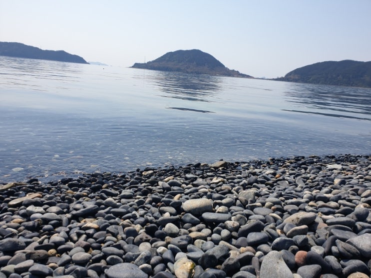 한산도 추봉리 봉암몽돌해수욕장, 벚꽃