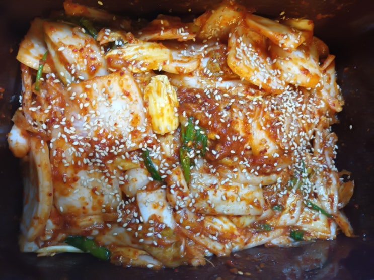  배추김치 담그기로 맛있는 배추김치 만드는 법 배추 겉절이