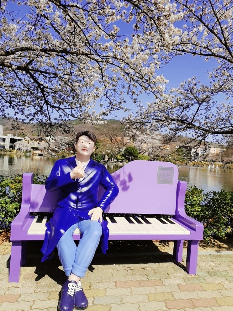 경북 김천 벚꽃 명소 [연화지] 김호중길 벛꽃 실시간