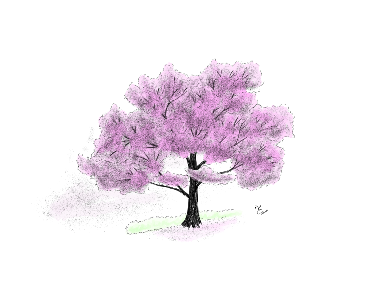  벚꽃나무 20220403