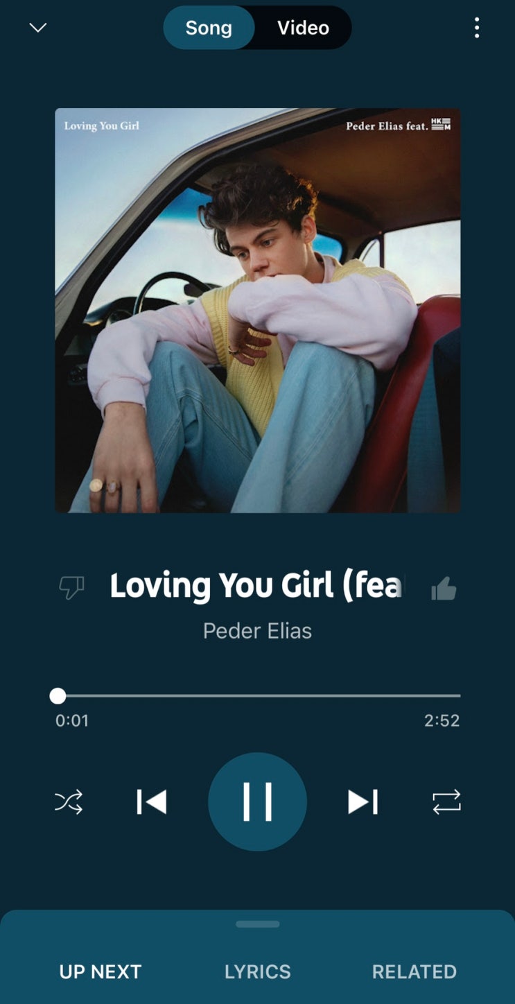  Loving You Girl - Peder Elias(feat. Hkeem) 가사/해석 정국 인스타 무물 노래