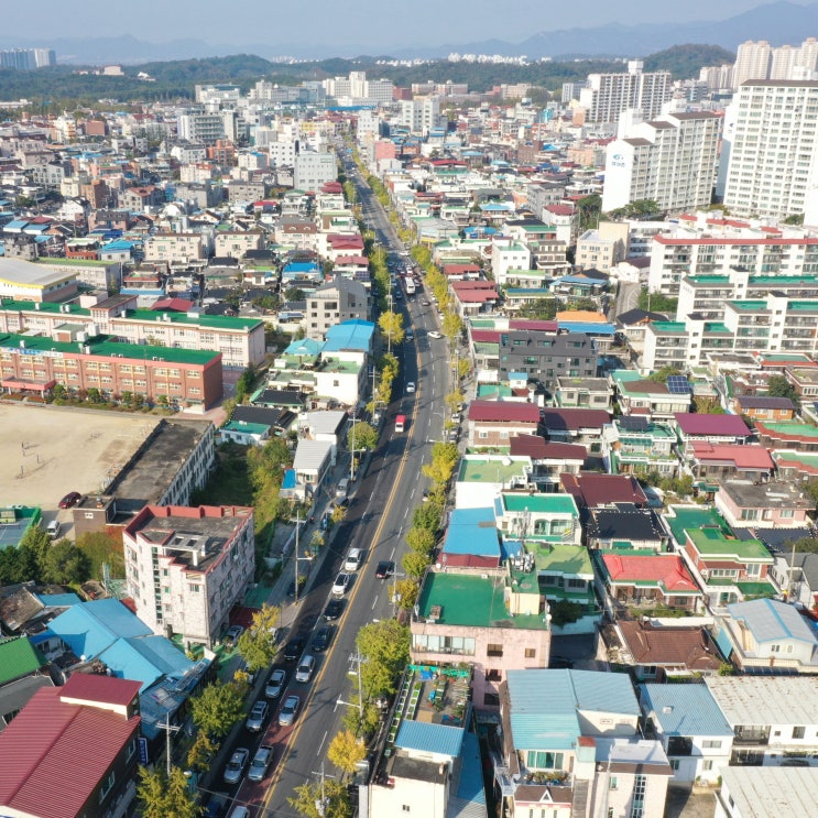 실내건축기능사 건축산업기사 건축기사 필기 실기 합격률 실내건축기능사 건축산업기사 건축기사 필기 실기 합격률