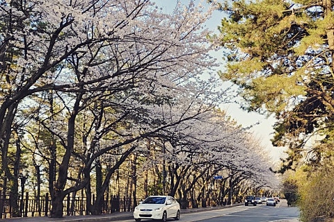 제이엠와이 이미지
