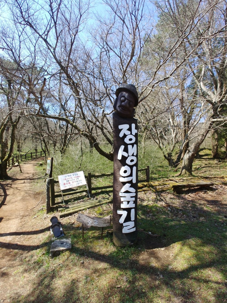 절물 자연휴양림, 장생의 숲길 산책 절물 자연휴양림, 장생의 숲길 산책