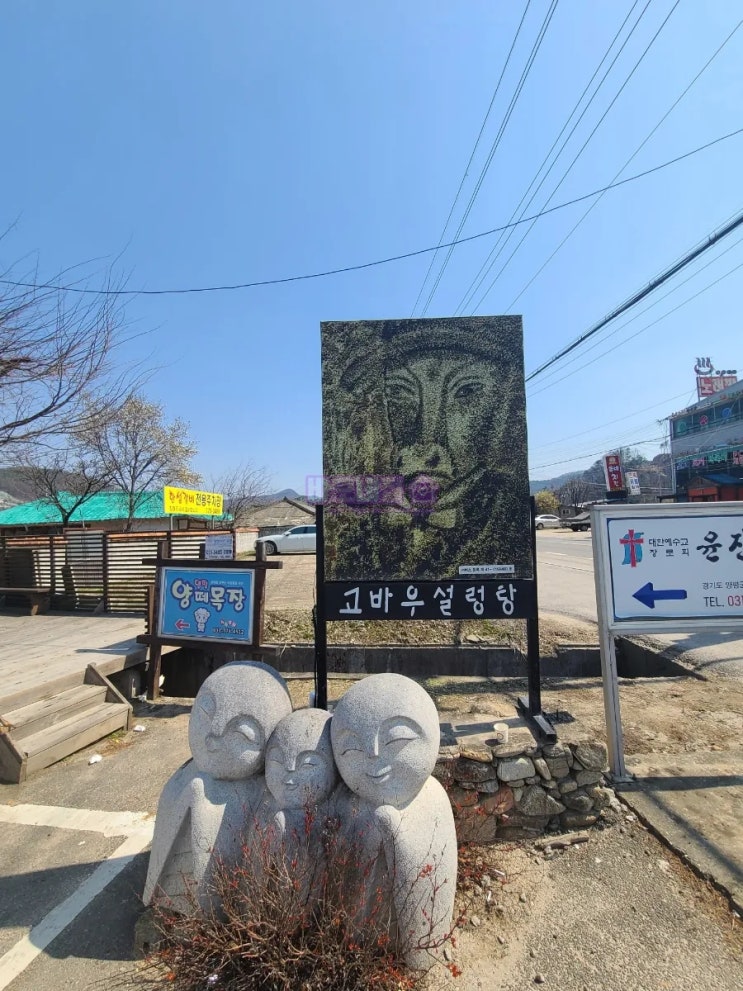  고바우설렁탕 :: 양평 찐 설렁탕을 맛보다 (feat 양평 스타벅스 DTR)
