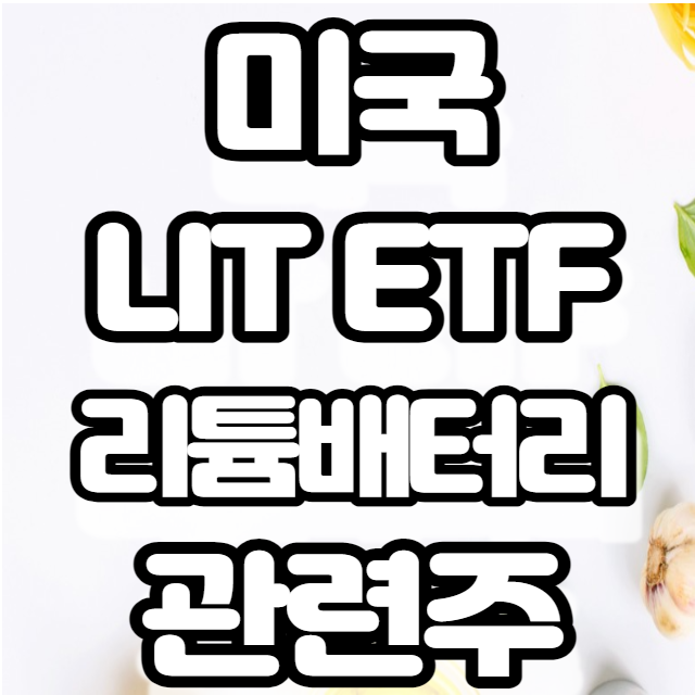 미국 LIT ETF - 리튬, 배터리 관련 주