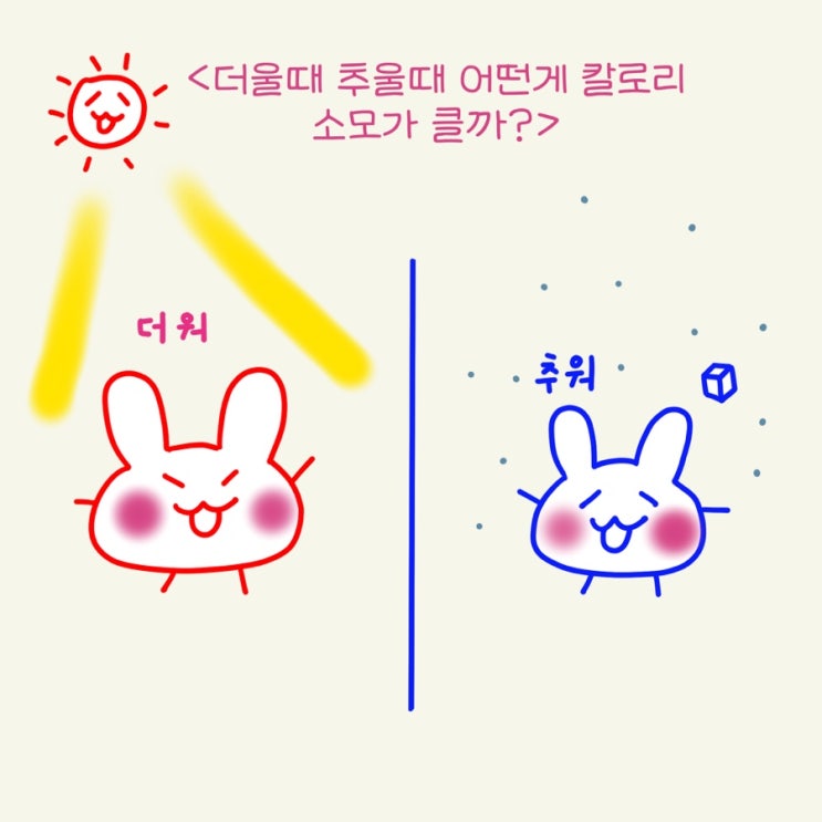  더울때 추울때 어떤게 칼로리소모가 클까? ( 겨울 여름 체지방 소모 원리 )