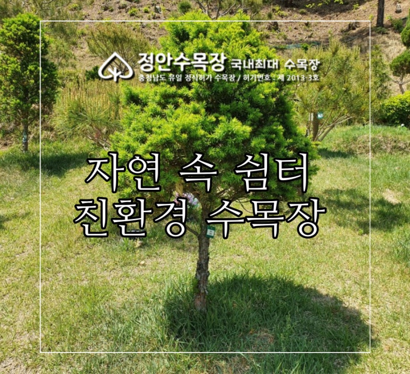 공설수목장 시설
