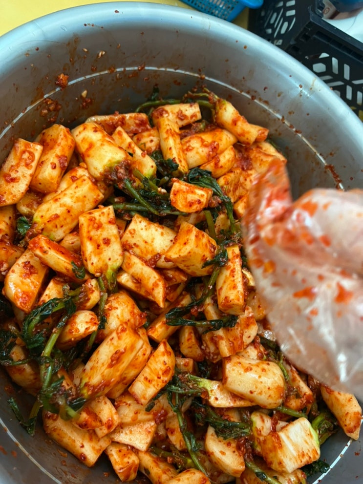  우리할머니표 알타리무 총각김치 담구기 꿀맛햇김치