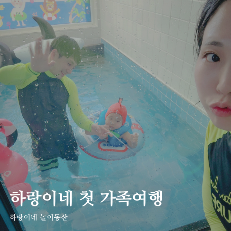  광주 근교 펜션 장성 하비스트 랜드 키즈 풀빌라