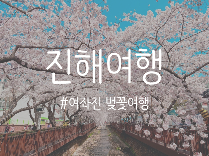  [경남/창원] 진해 여좌천 벚꽃 흩날리는 중 ~     무료 주차장 정보