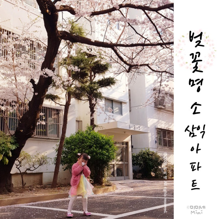  부산 벚꽃명소 대신동 삼익아파트 나들이, 주차정보
