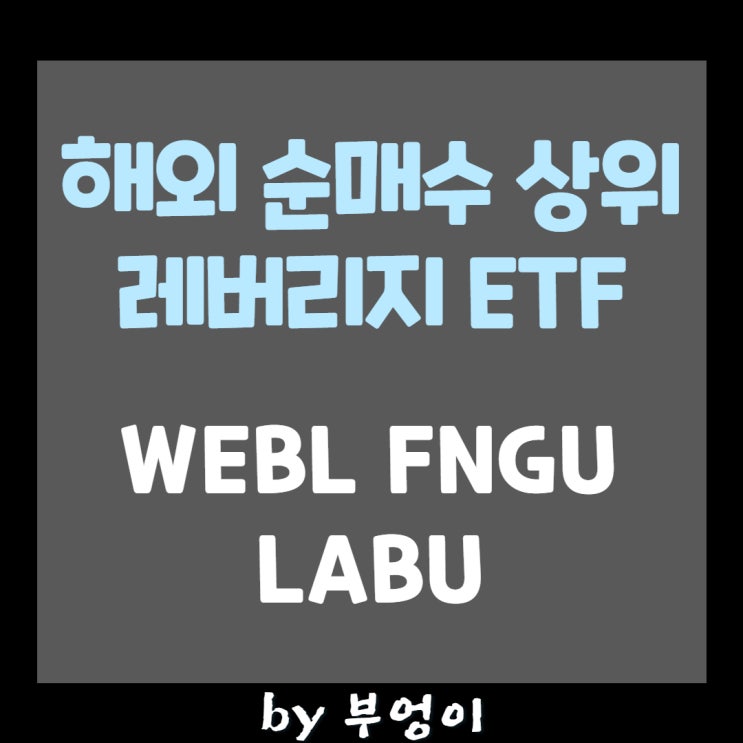 해외 순매수 상위 레버리지 ETF - WEBL, FNGU, LABU 해외 순매수 상위 레버리지 ETF - WEBL, FNGU, LABU