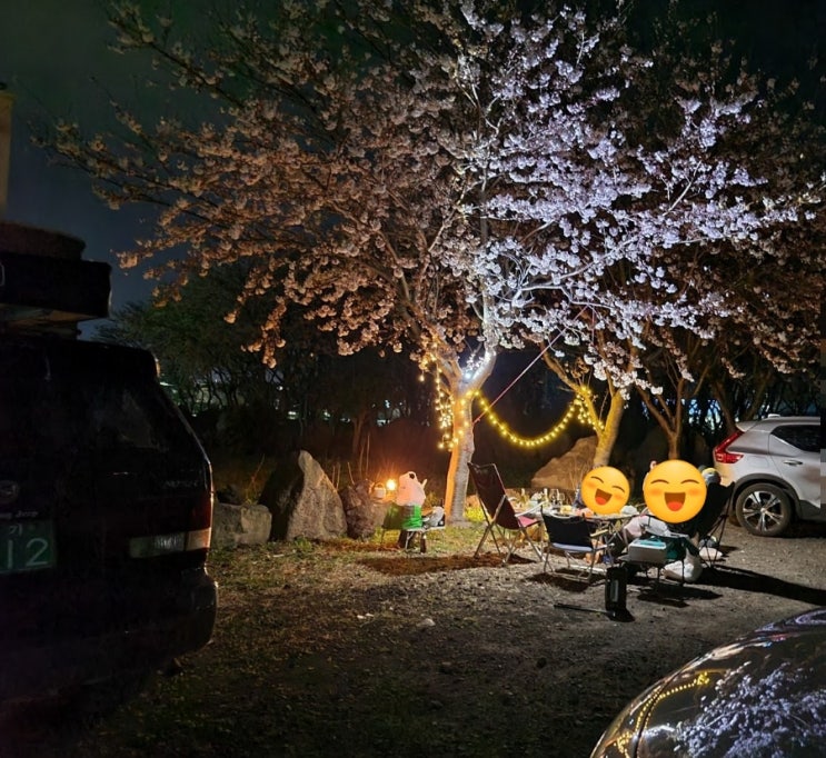  제주도 벚꽃그늘 아래 차박지 무료노지 벚꽃캠핑