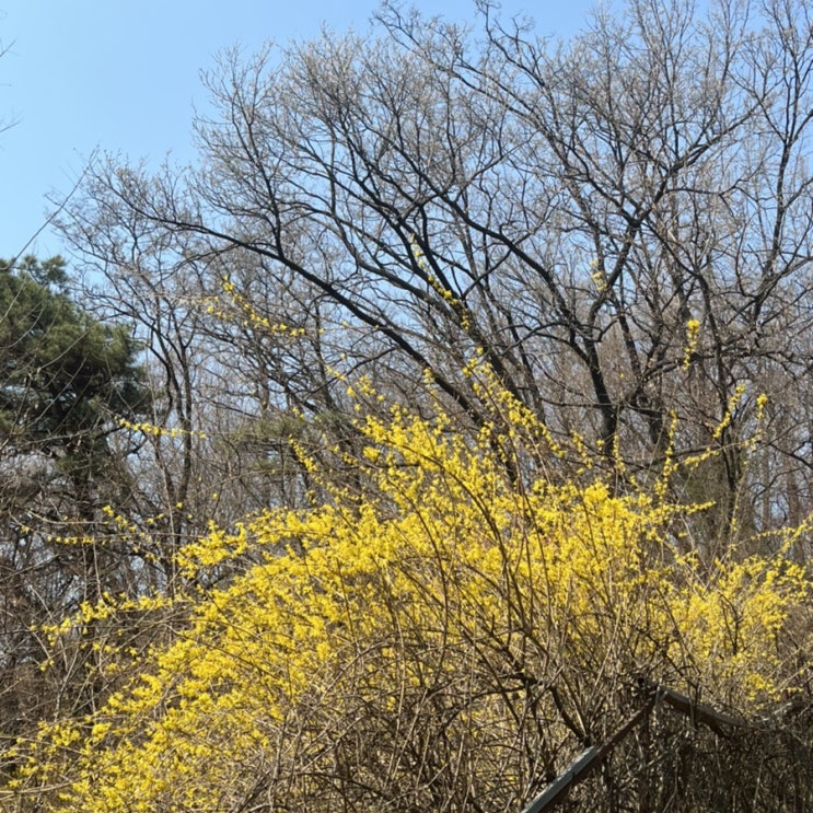  사가정주말농장 I 봄작물 감자심기, 열무씨앗심기, 깻잎씨앗심기