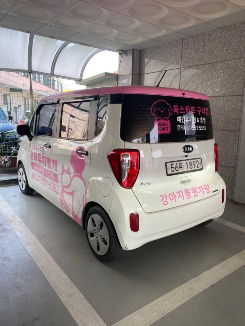 사진 7