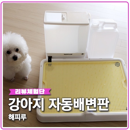 해피루 자동배변판 도그토토 냄새 없는 강아지 화장실 해피루 자동배변판 도그토토 냄새 없는 강아지 화장실