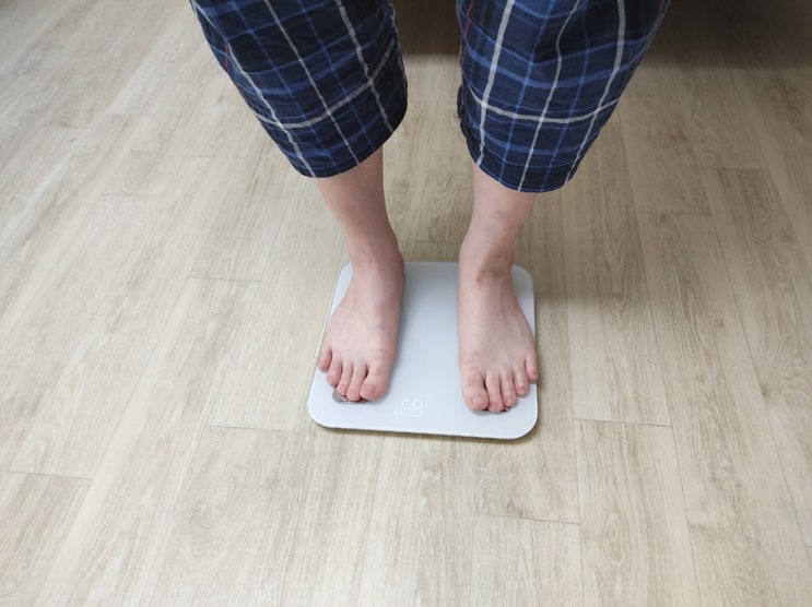  체지방까지 측정하는 정확한 체중계 오짐 스마트 인바디 체중계